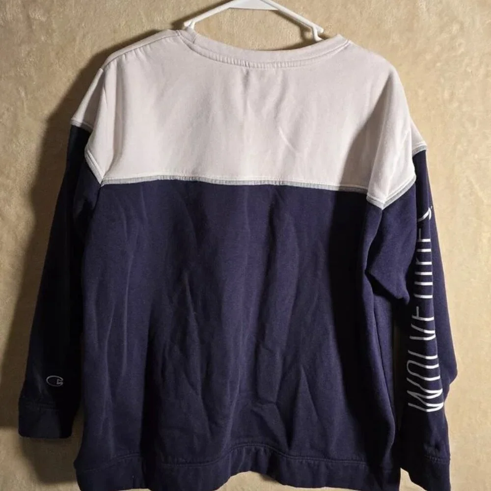 Champion University of Michigan‎ Wolverines Sweatshirt Men L Colorblock Vntg 312